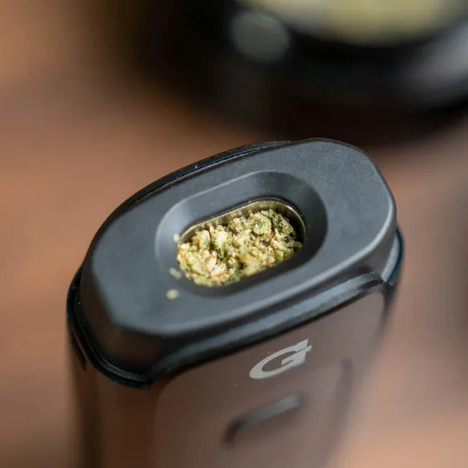 GPEN DASH PLUS