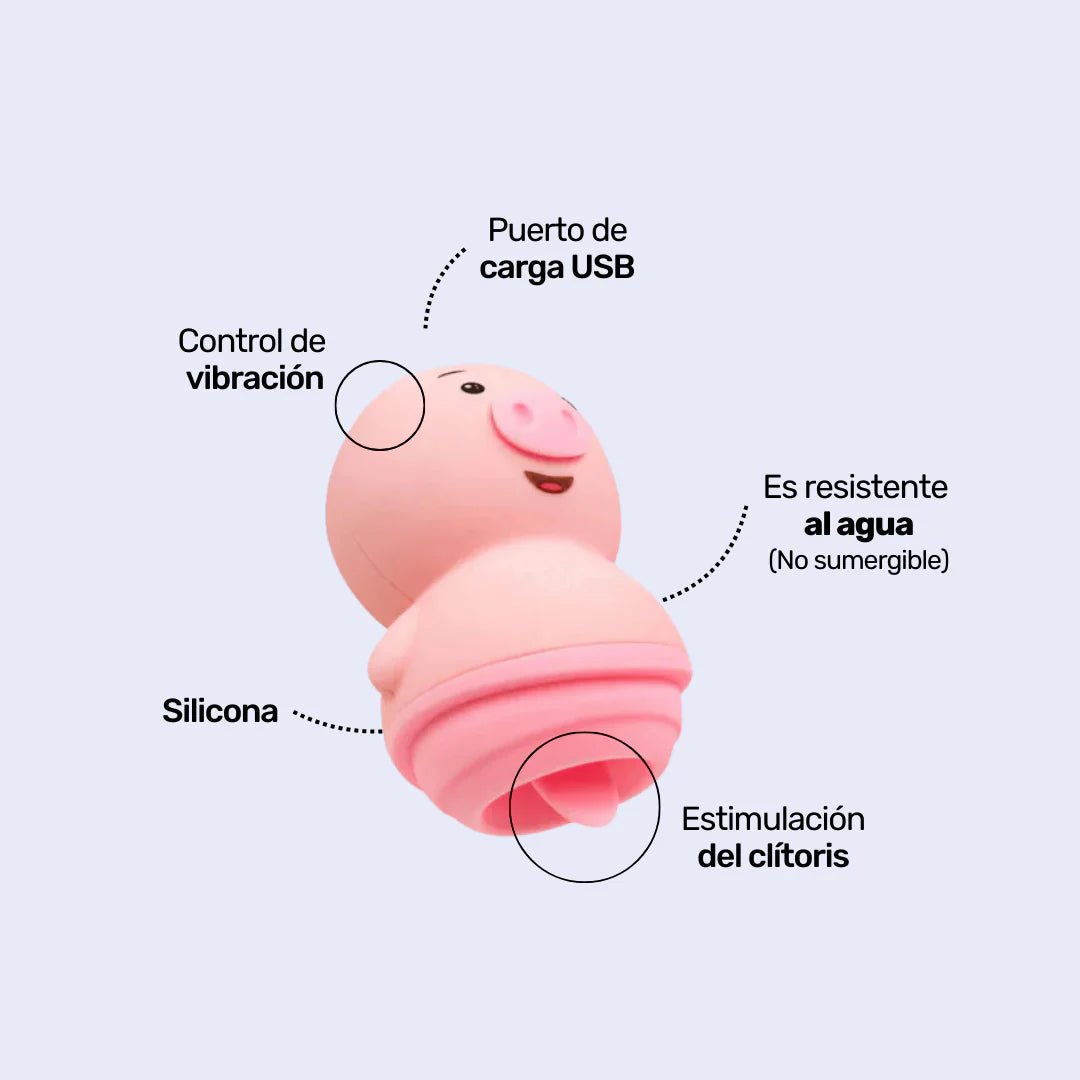 CAMTOYZ VIBRADOR PIGLY