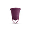 UVA COPA MENSTRUAL TALLA B