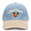 DISEÑO CHILL HOUSE CELESTE
