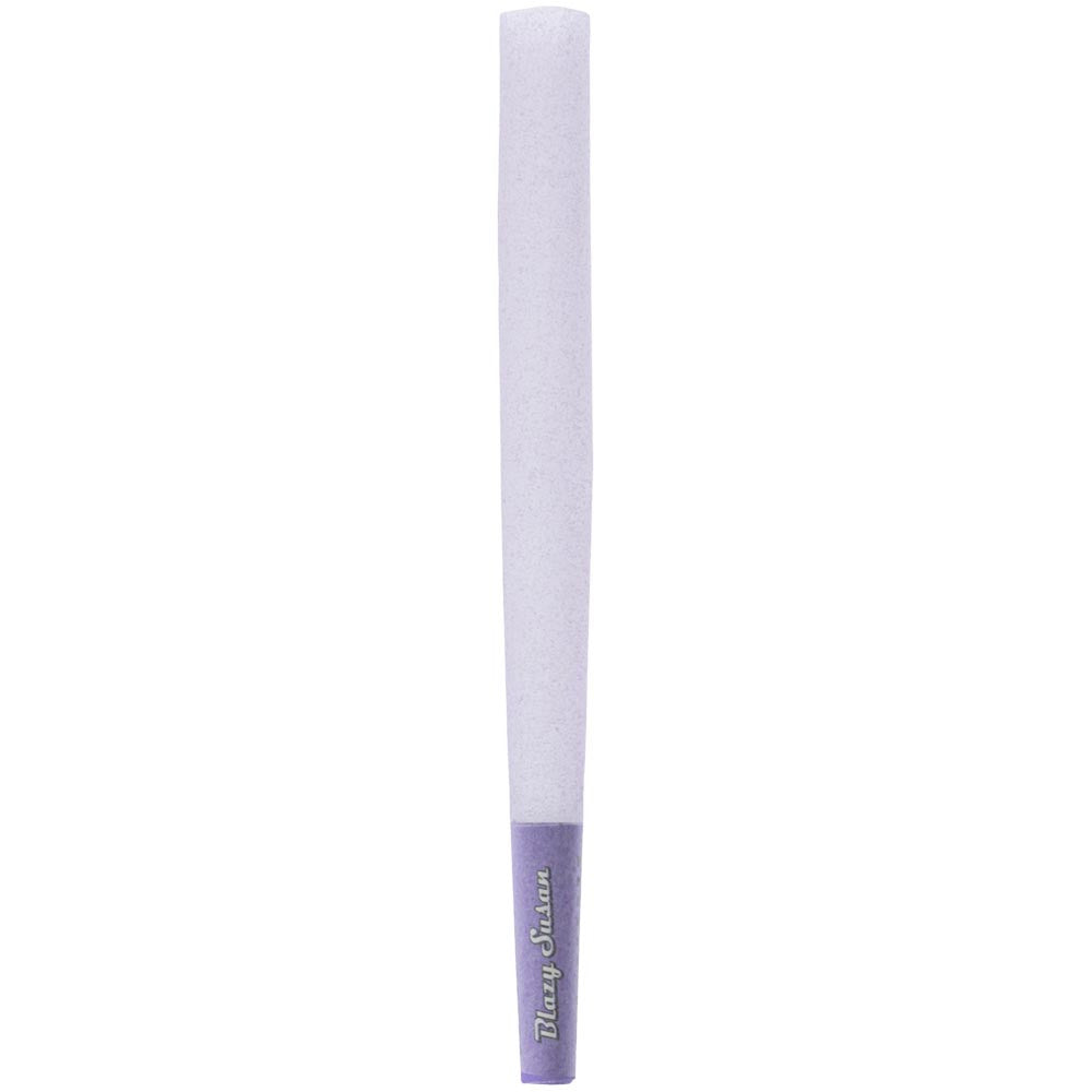 BLAZY SUSAN PURPLE CONES 1 1/4