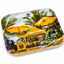LION ROLLING CIRCUS BANDEJA PARTY BEACH XL