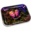 LION ROLLING CIRCUS BANDEJA GREEN XL