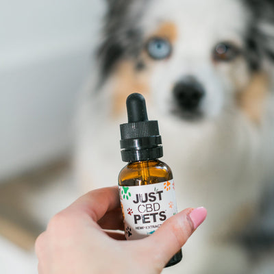 JUST CBD ACEITE DE CBD 100mg