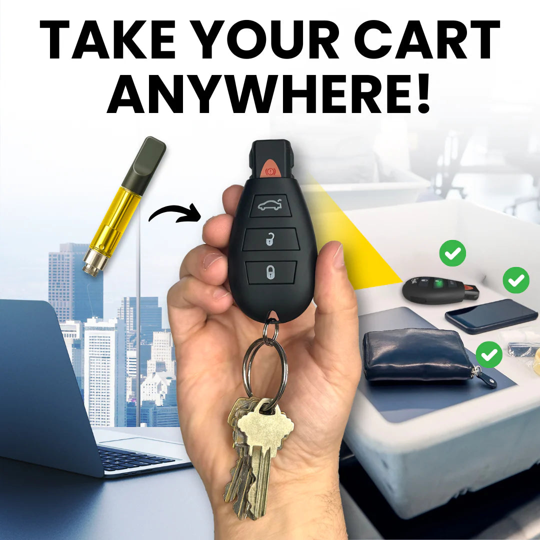 SMYLE PENJAMIN LLAVE DE CARRO
