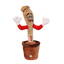 RAW CONO BAILARIN