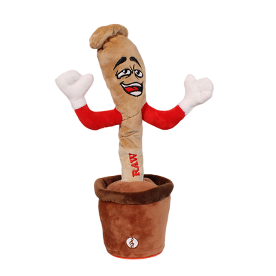 RAW CONO BAILARIN