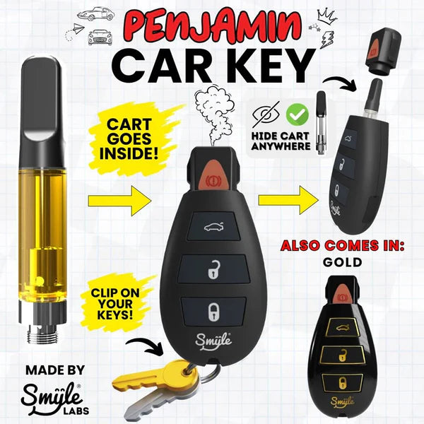 SMYLE PENJAMIN LLAVE DE CARRO