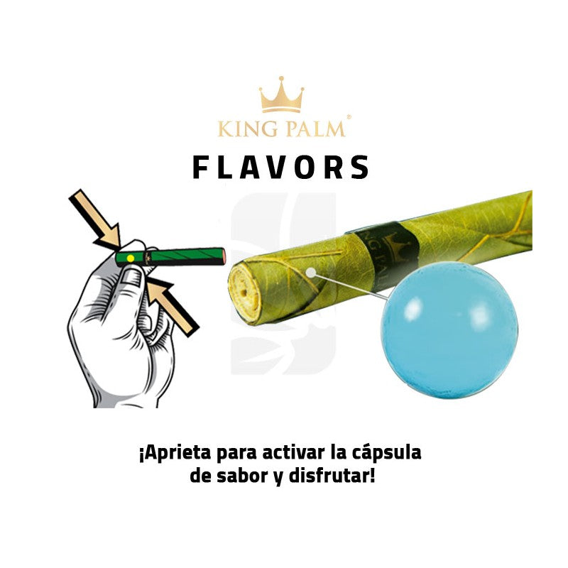 KING PALM MINI TUBO
